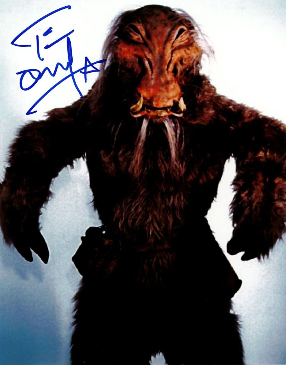 Lot 360: Tim Dry signed Star Wars 10x8 colour photo....