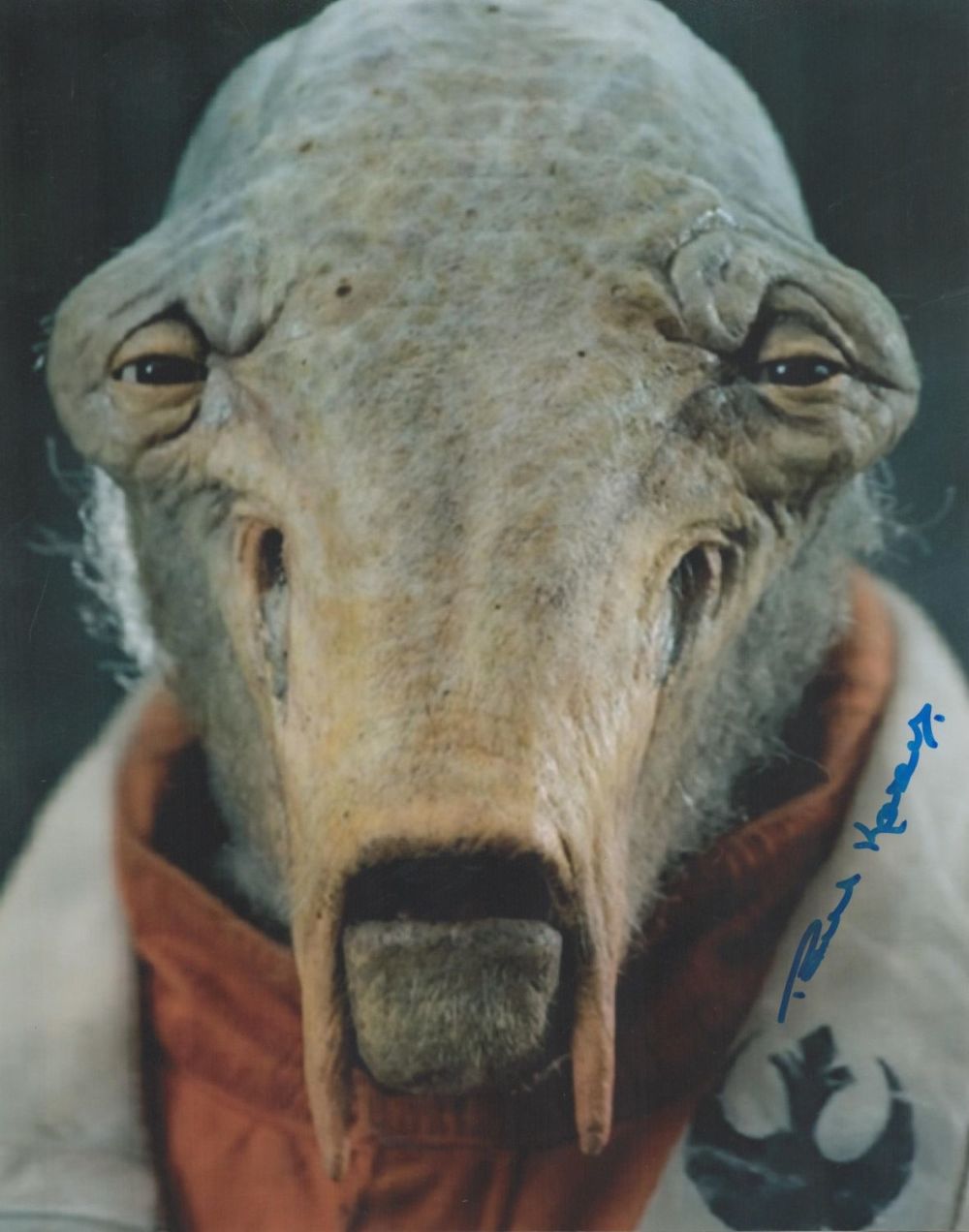 Lot 369: Paul Kasey signed 10x8 Star Wars colour photo....