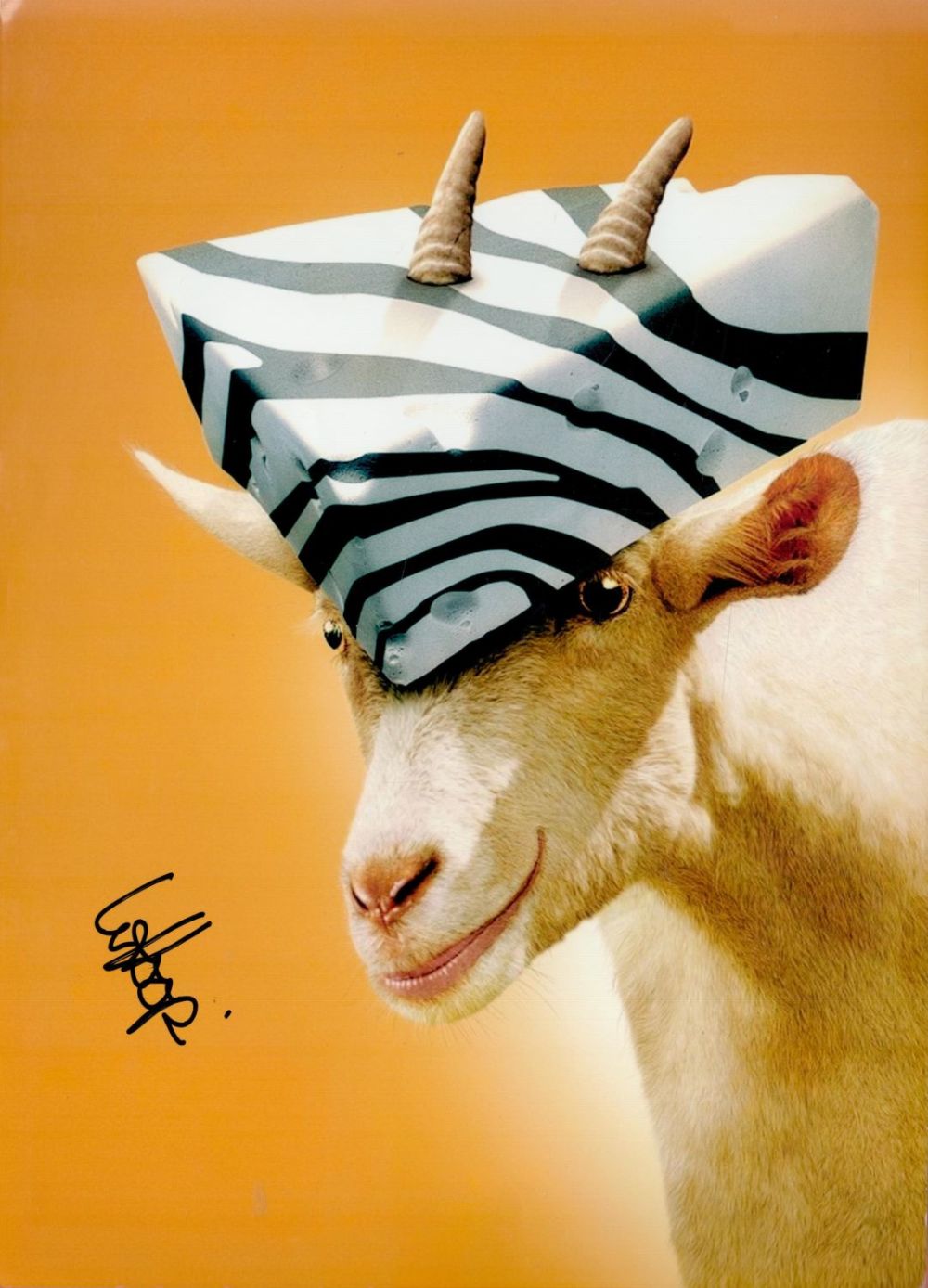 Lot 638: Whoopi Goldberg signed Goat 10x8 colour photo. Good...