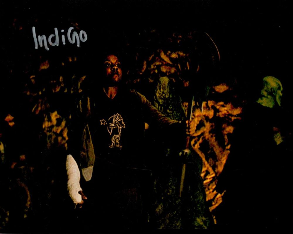 Lot 245: Indigo signed 10x8 colour photo from Buffy. All...