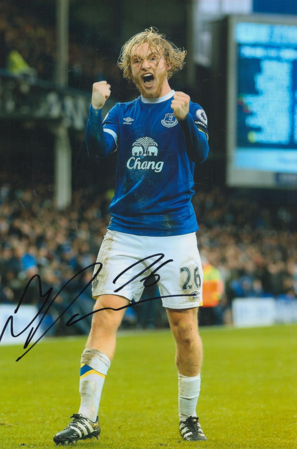 Lot 301: Tom Davies Everton Signed 12x 8 inch football...