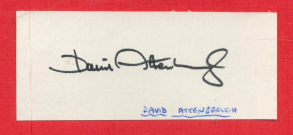 Lot 234: British National Treasure David Attenborough Signed 3 x...