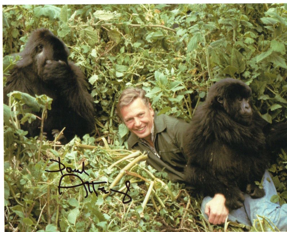 Lot 387: Sir David Attenborough. 10X8 picture of the national...