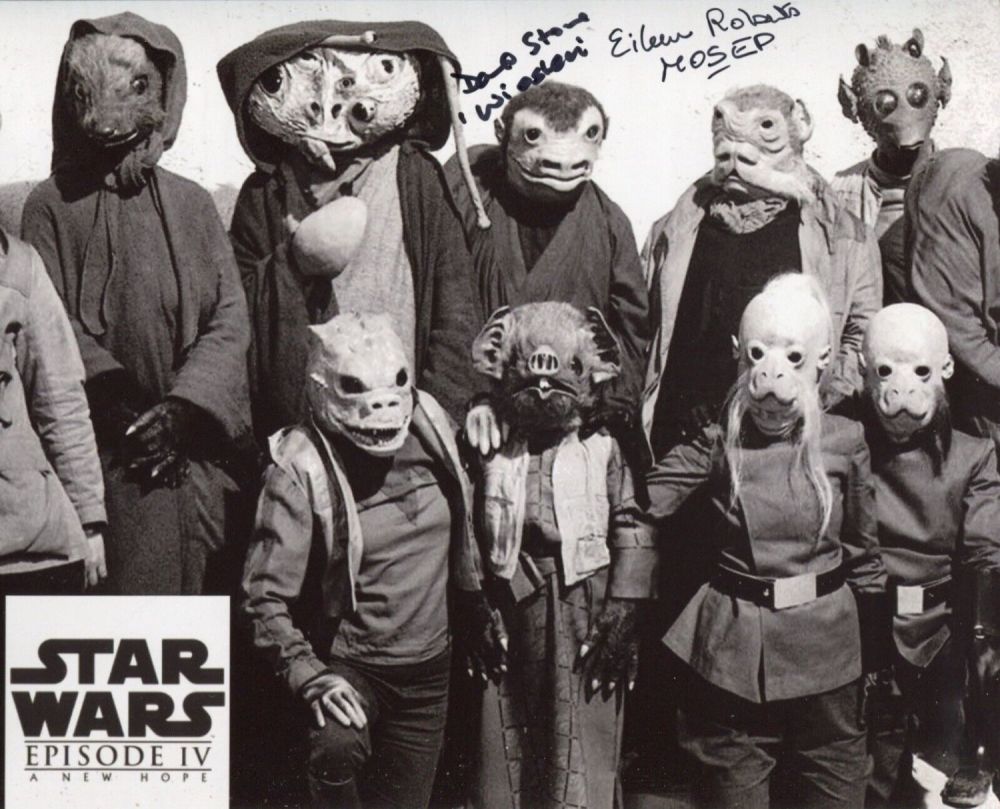 Lot 290: Star Wars A New Hope 8x10 photo signed...