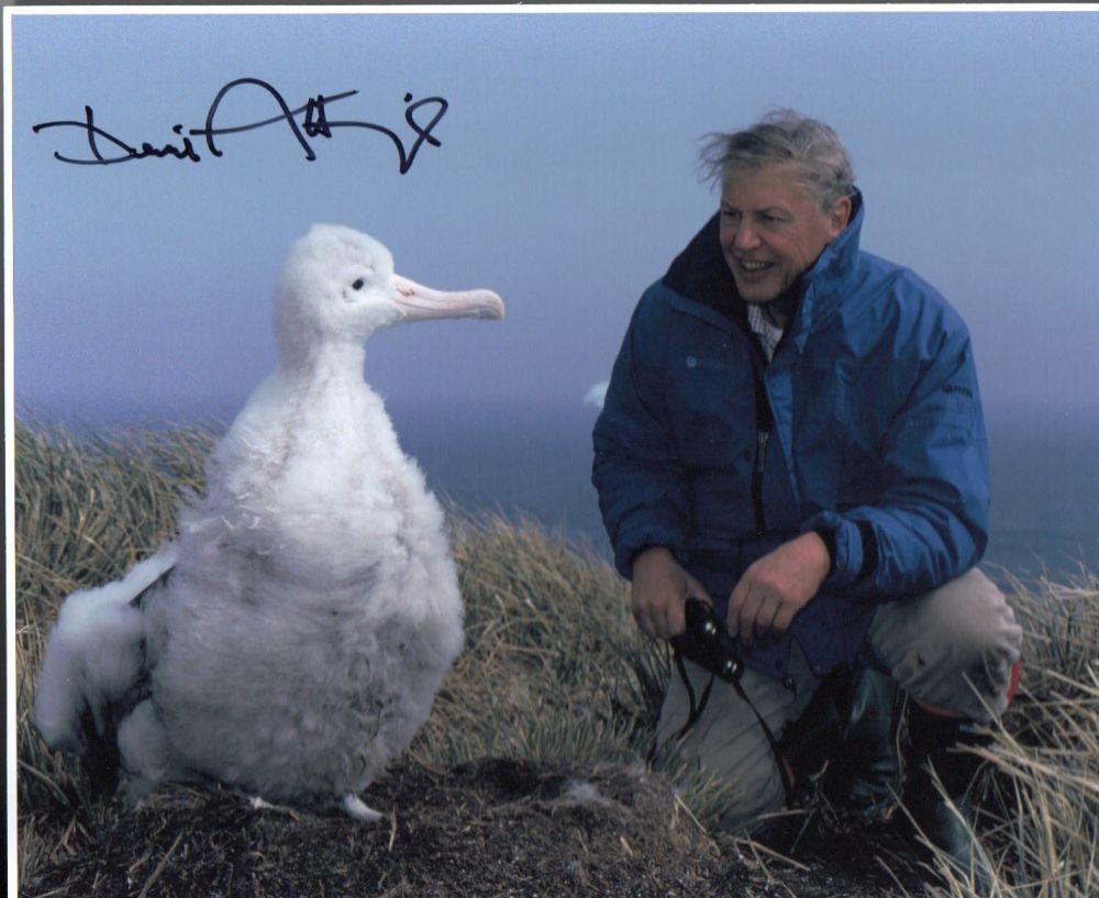 Lot 385: Sir David Attenborough signed 10X8 picture of the...