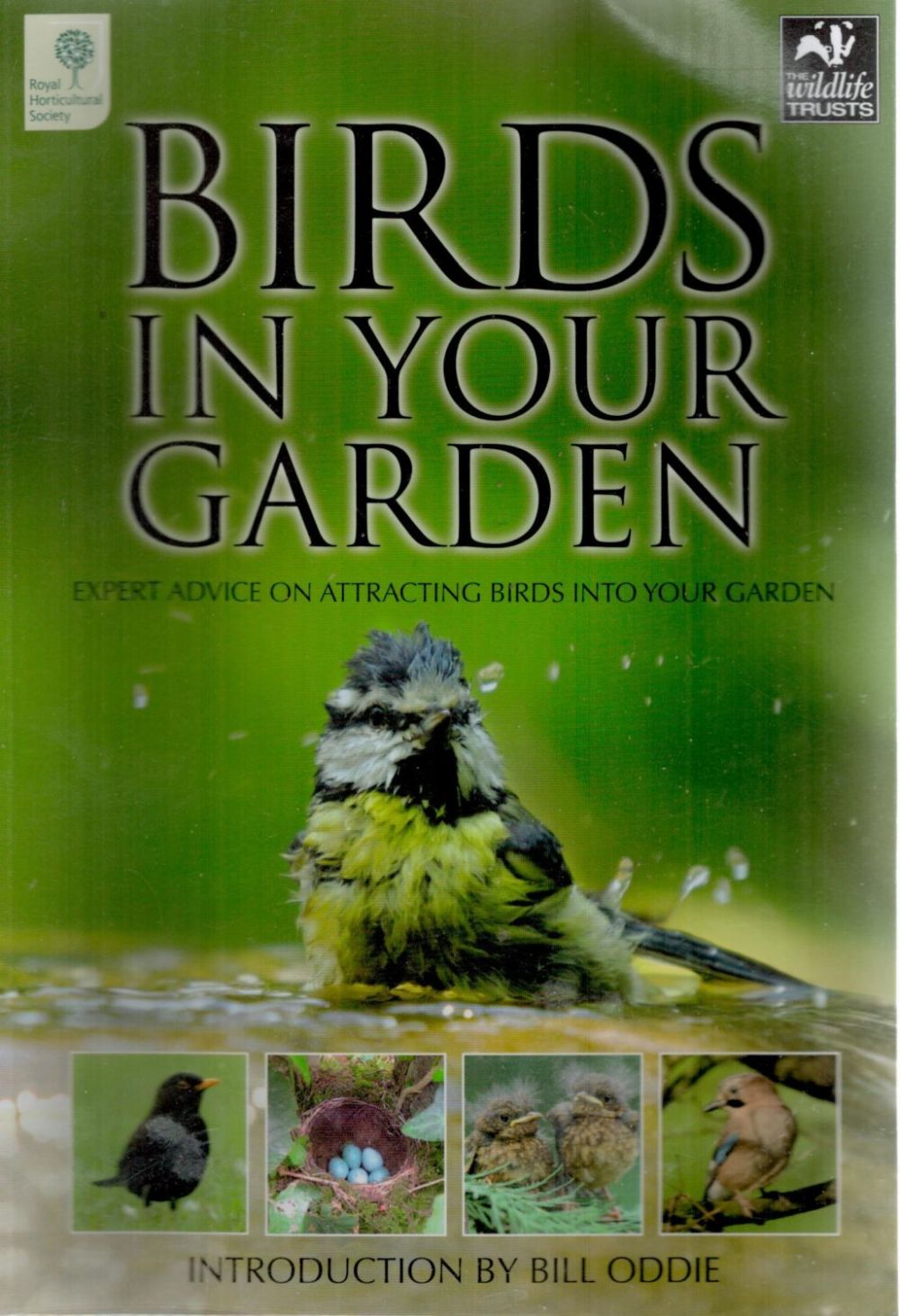 Lot 538: Birds In Yours Garden Dated 2007. Softback Book....