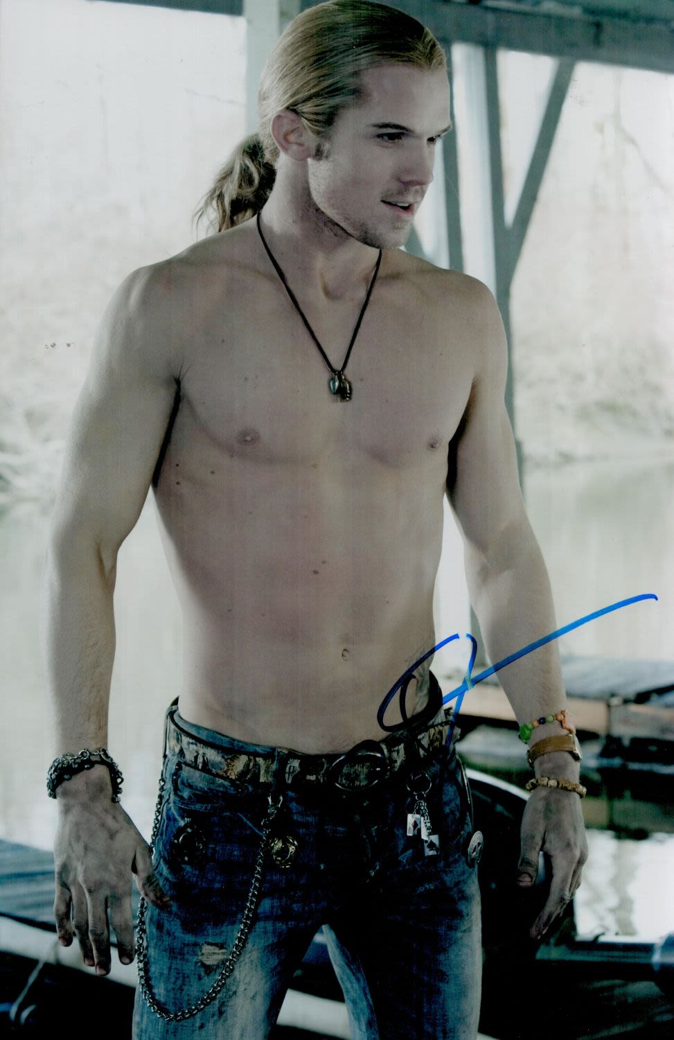 Lot 271: American Actor Cam Gigandet Signed 12x8 inch Colour...