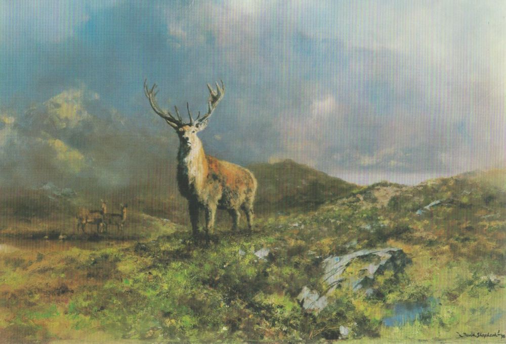 Lot 475: Renowned Artist David Shepherd and Wife Signed inside...