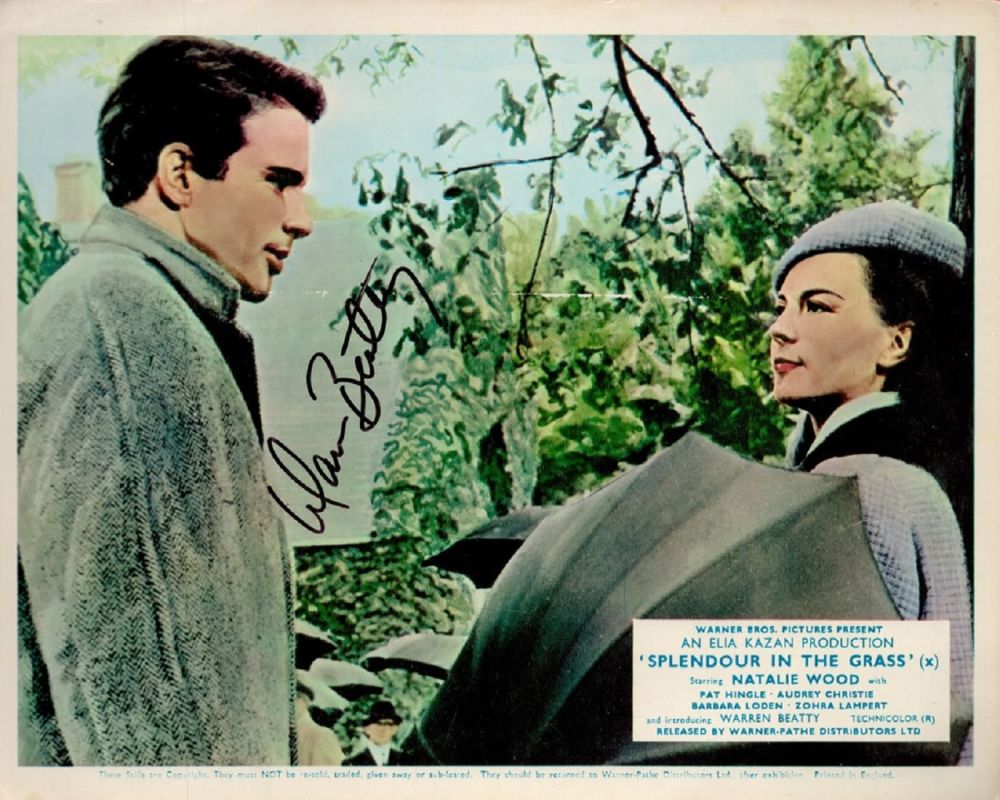 Lot 49: Warren Beatty Signed 10x8 inch Colour Splendour In...