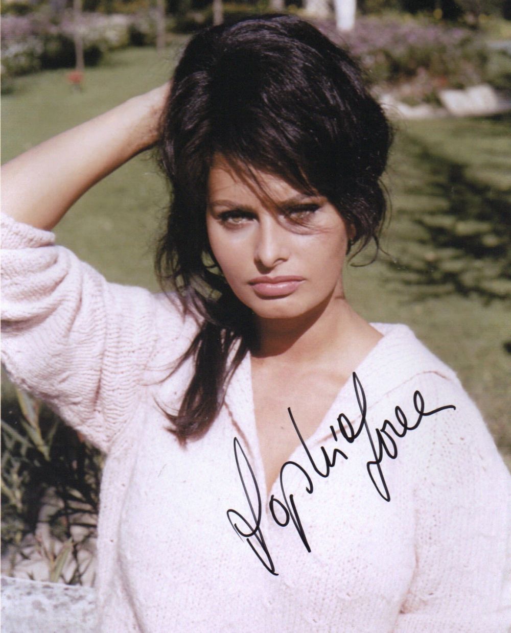 Lot 235: Sophia Loren. signed 10 x 8 inch photo....