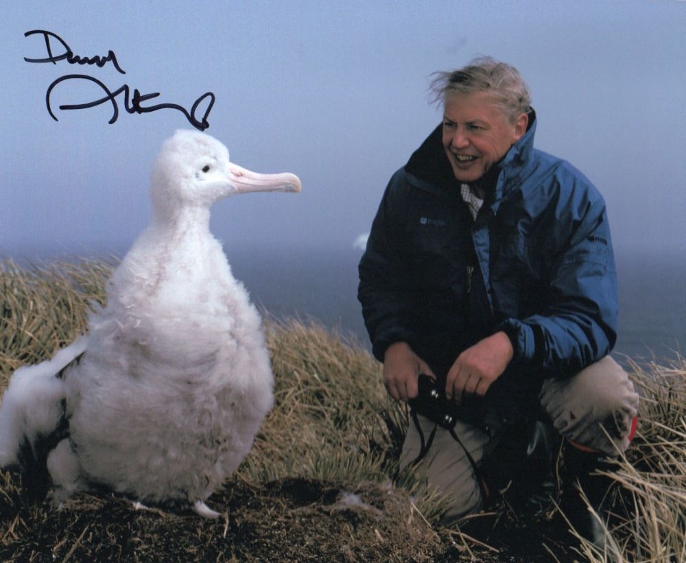 Lot 238: Sir David Attenborough signed 10 x 8 inch...