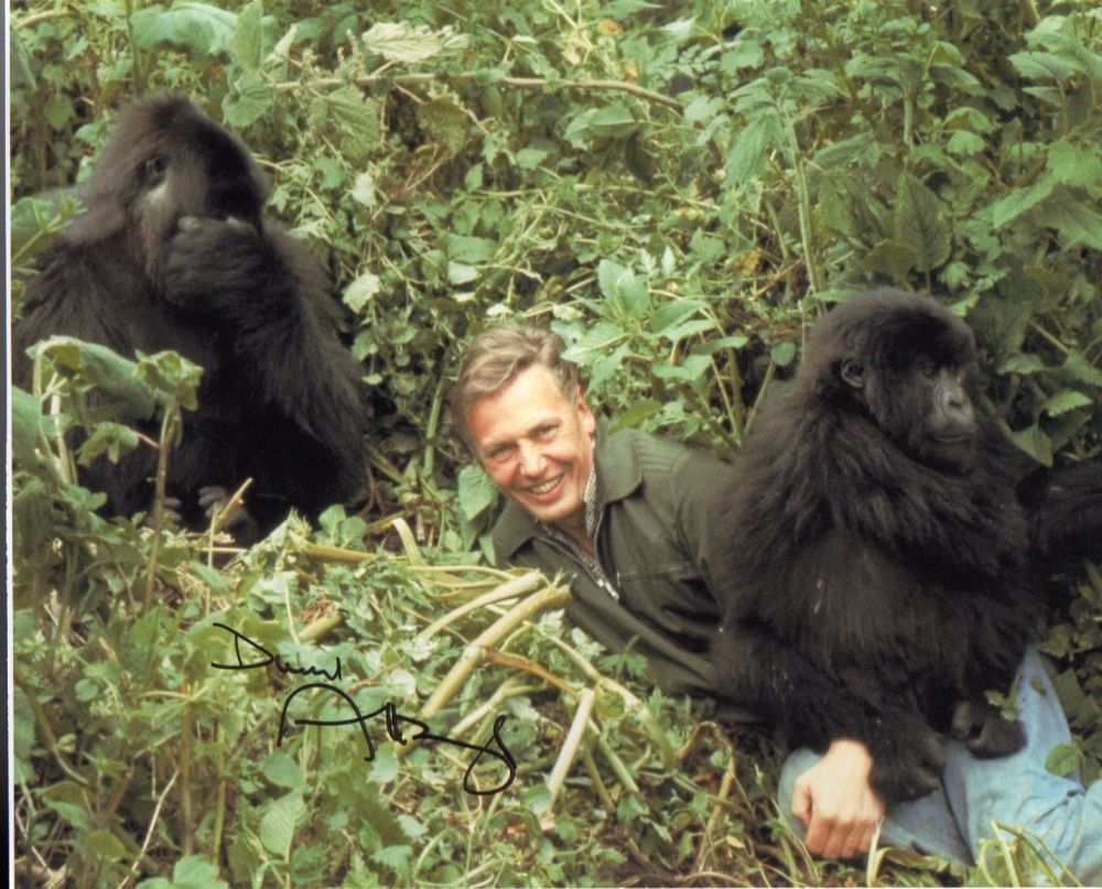 Lot 239: Sir David Attenborough signed postcard picture of the...