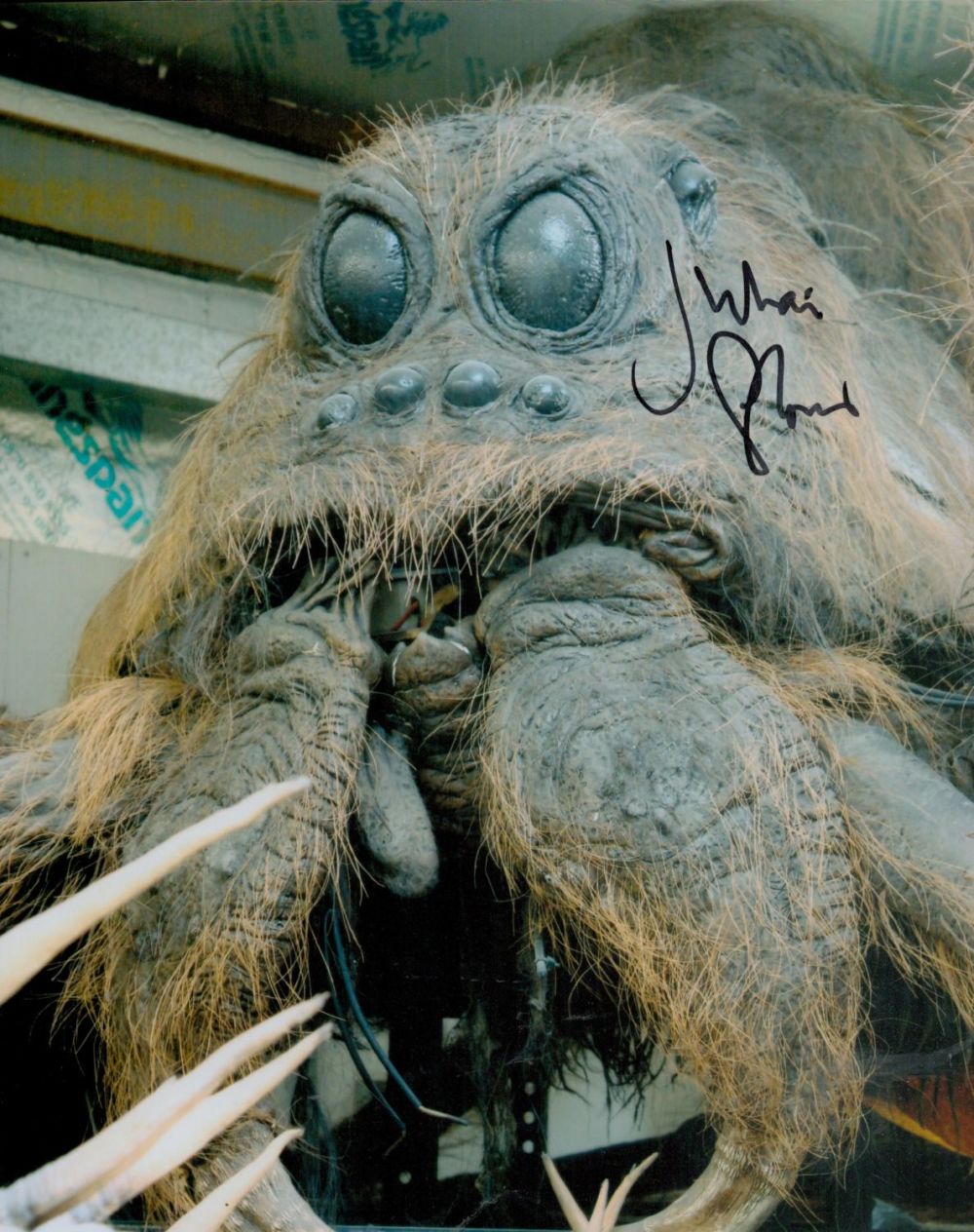 Lot 416: Julian Glover signed 10x8 Aragog Harry Potter colour...