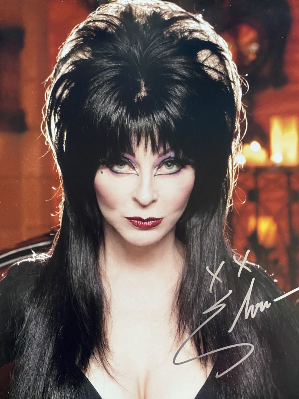 Lot 239: Elvira Mistress of the Dark, rare signed 14x11...