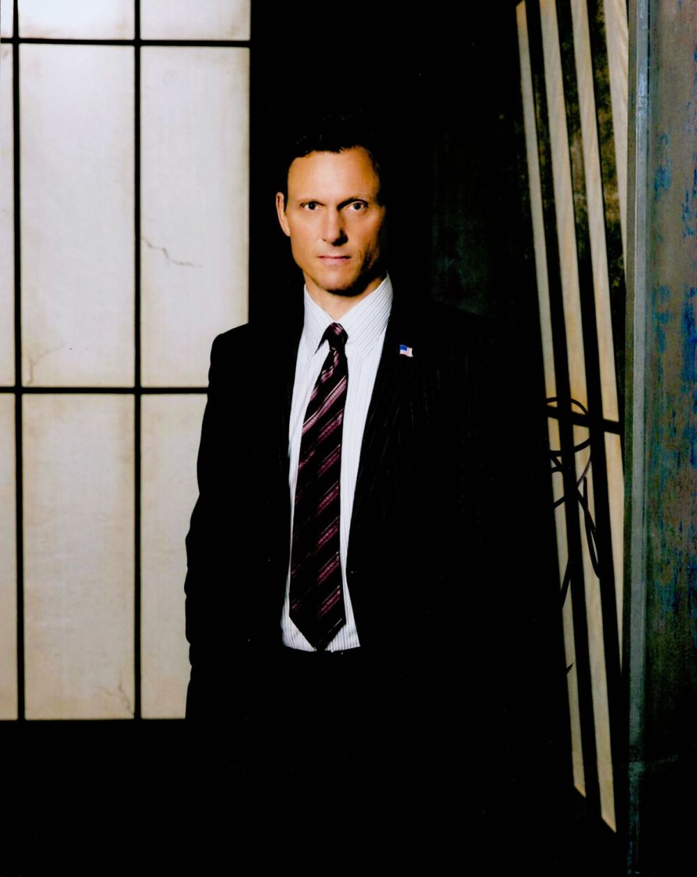 Lot 458: Tony Goldwyn signed 10x8 inch colour photo. Good...