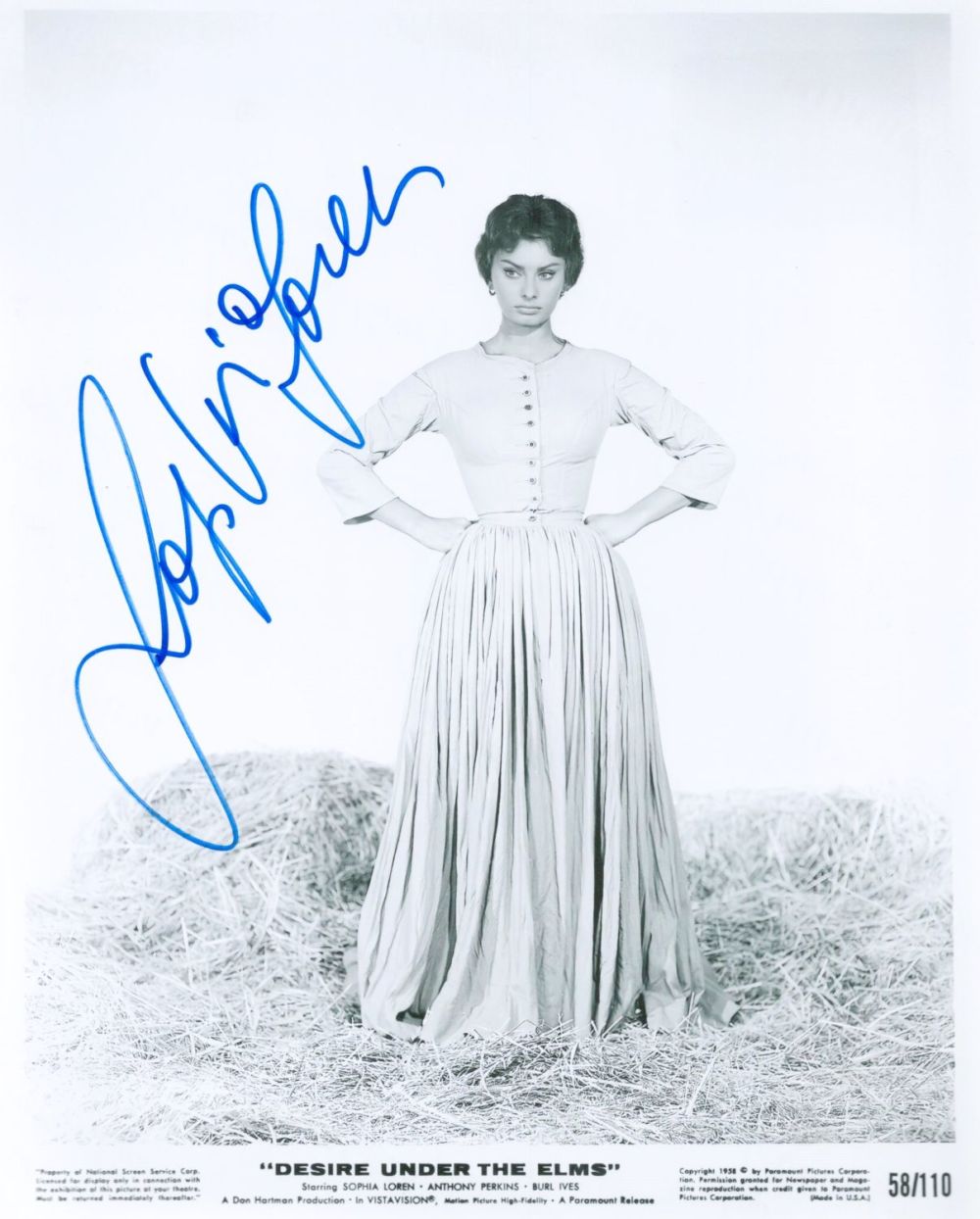 Lot 489: Sophia Loren Desire under The Elms signed 10x8...