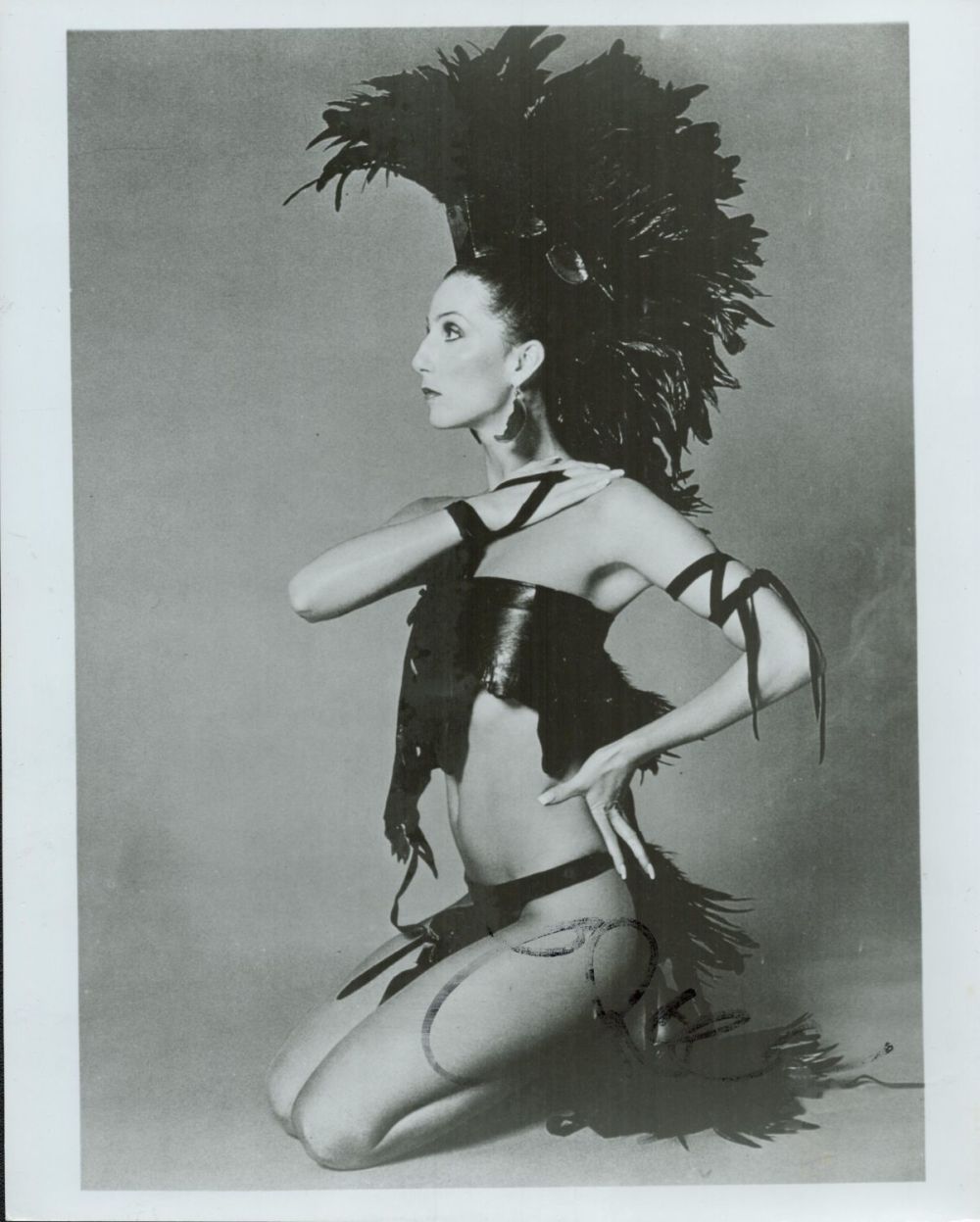 Lot 503: Cher signed 10x8 inch black and white photo....
