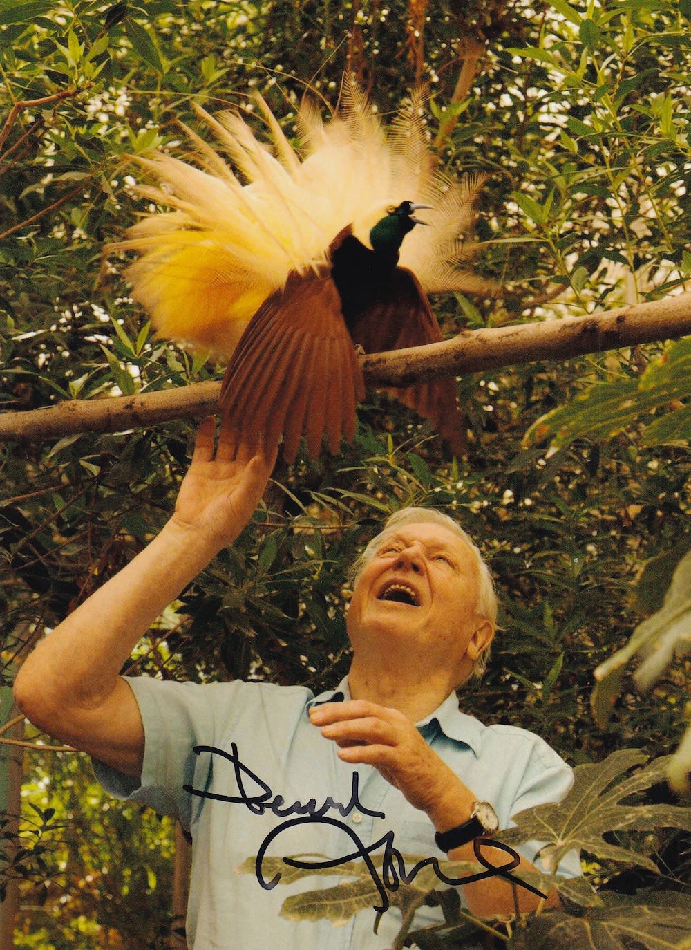 Lot 92: David Attenborough, Naturalist and Wildlife Film Maker signed...