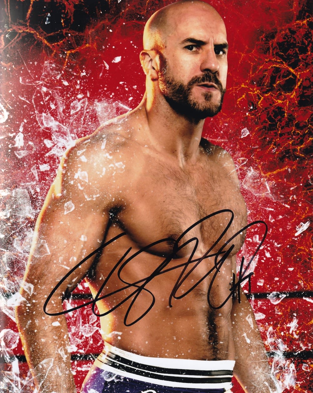 Lot 209: Cesare, American Pro Wrestler signed 10x8 approx photo....