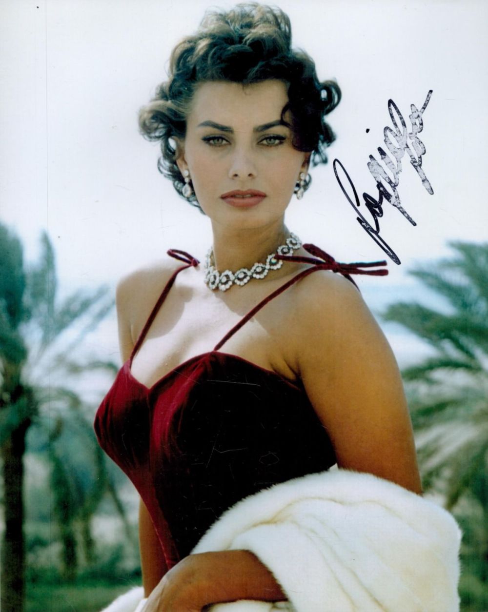 Lot 255: Sophia Loren Signed 10 x 8 inch Colour...