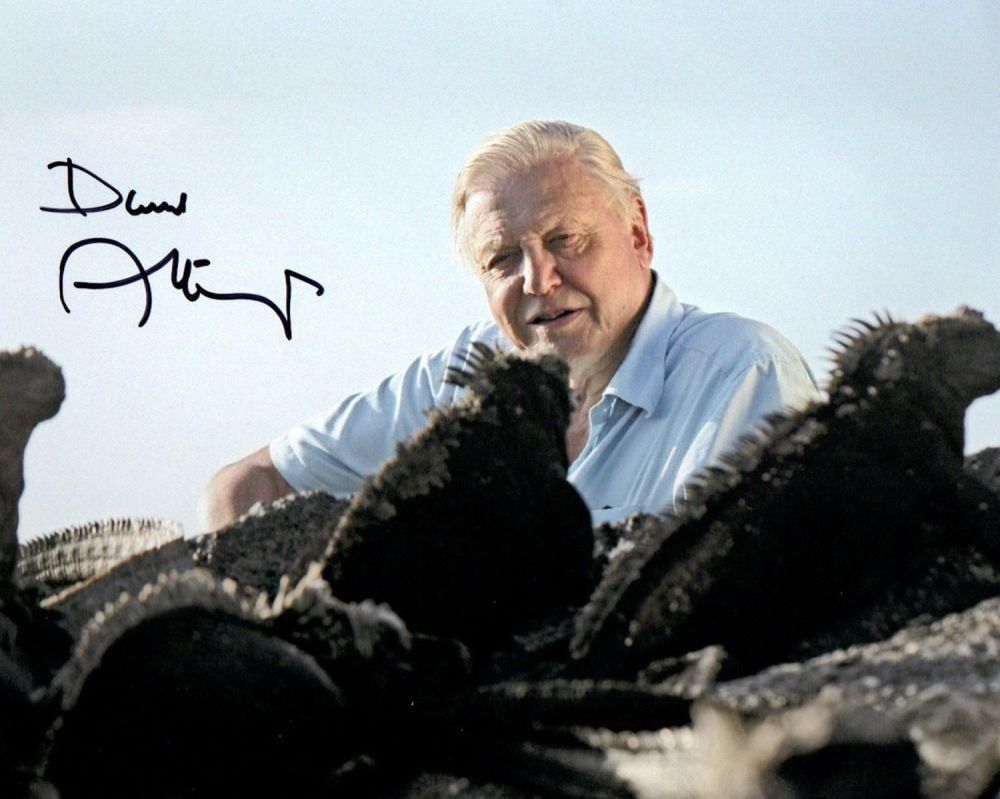 Lot 408: Sir David Attenborough. P/C picture of the national...