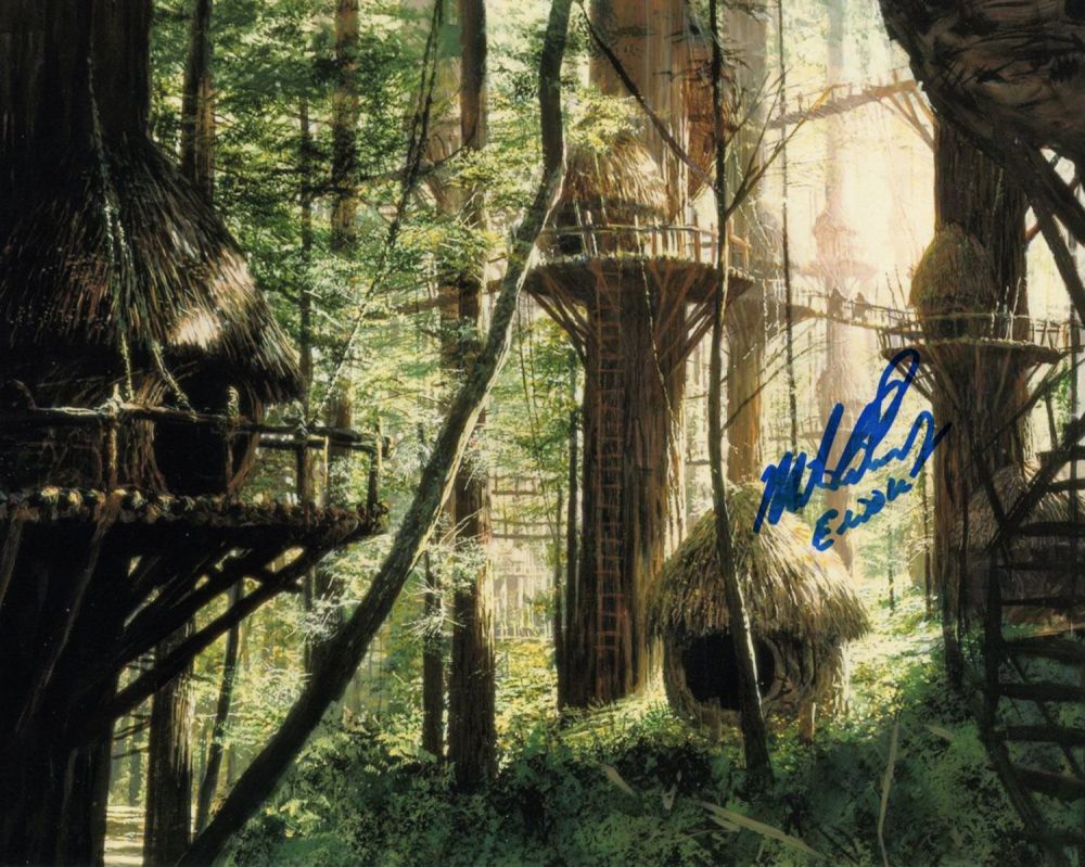 Lot 667: Star Wars Return of the Jedi 8x10 scene...