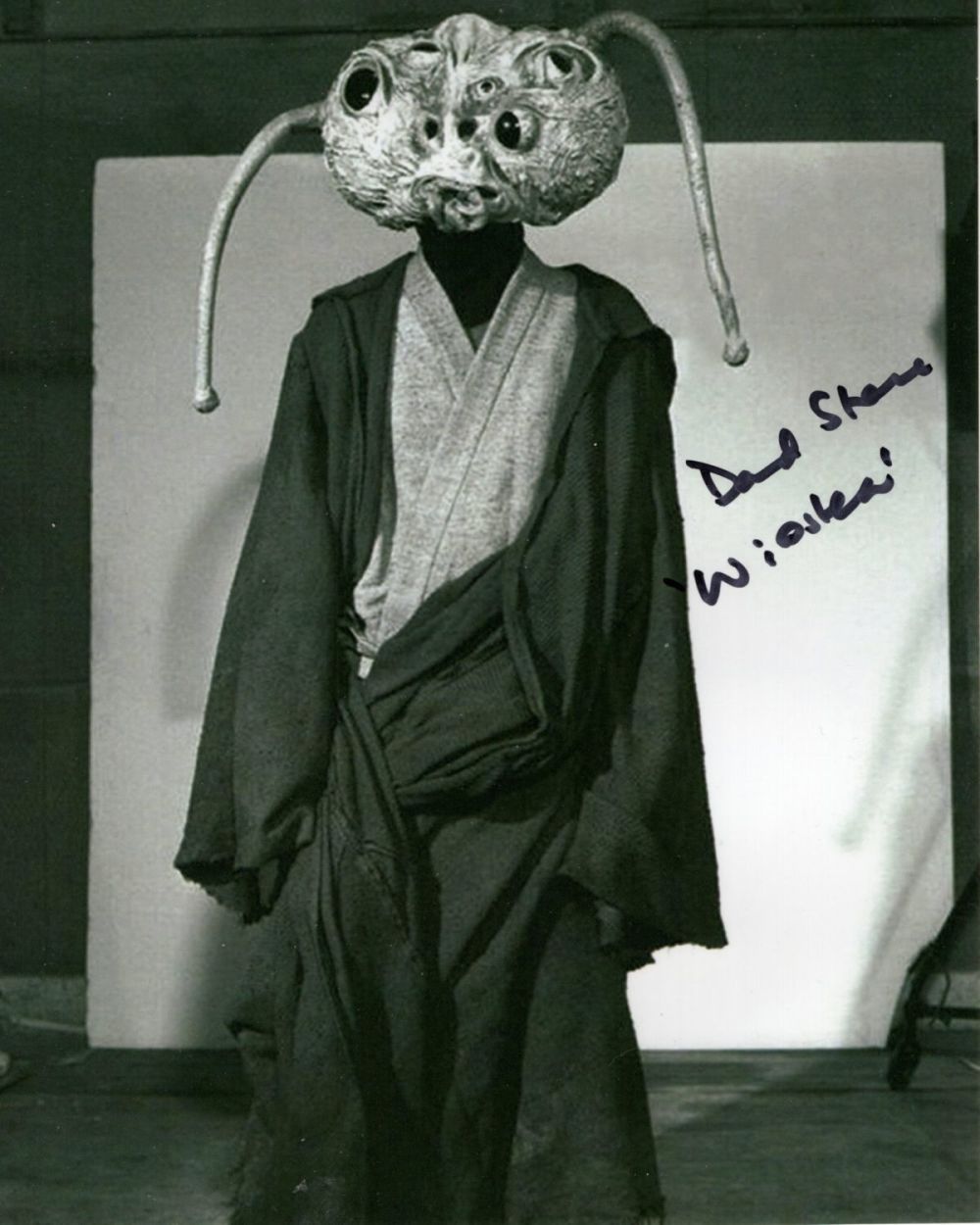 Lot 709: Star Wars A New Hope 8x10 photo signed...