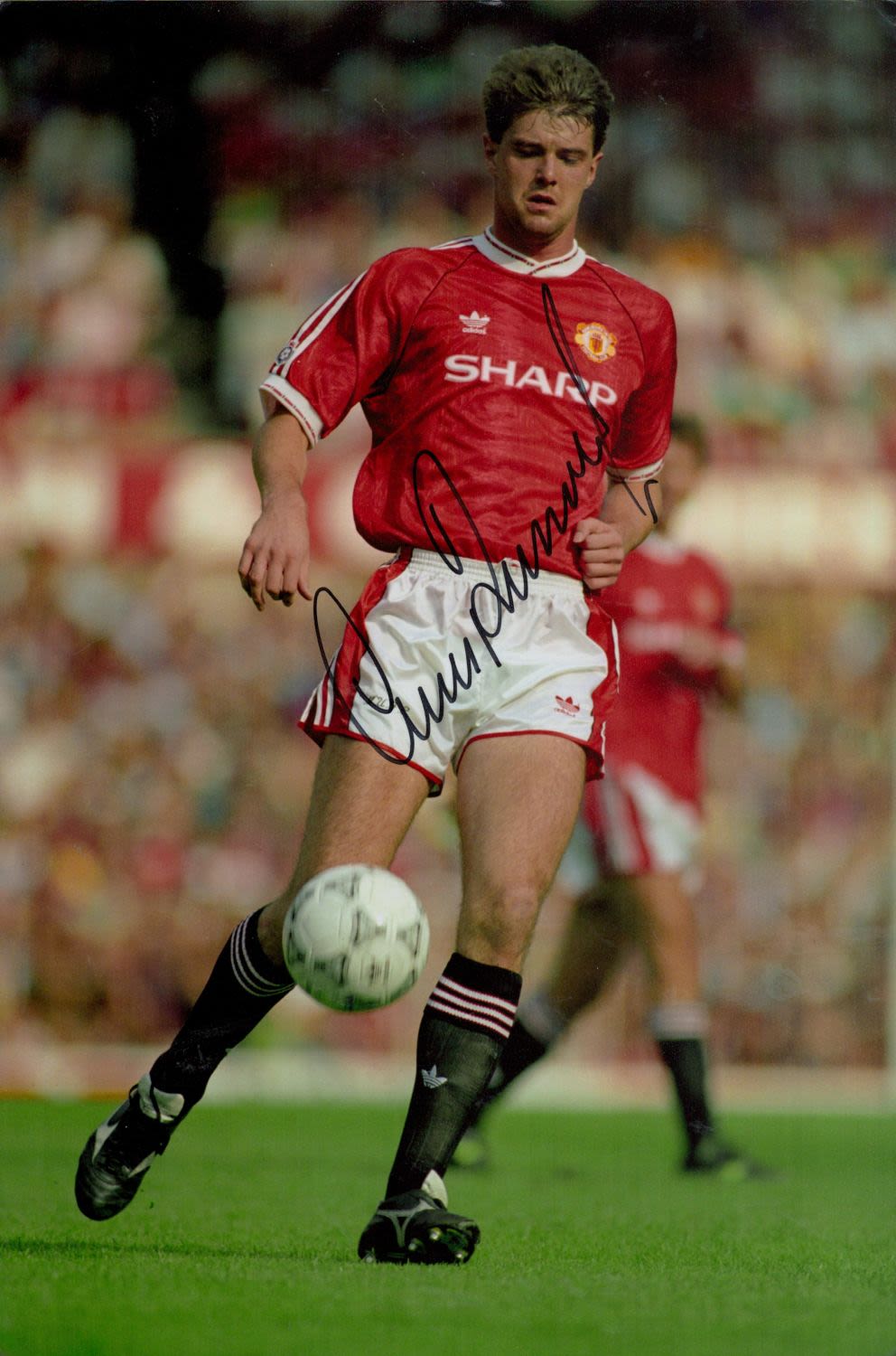Lot 98: Football Gary Pallister signed Manchester United 12x8 colour...