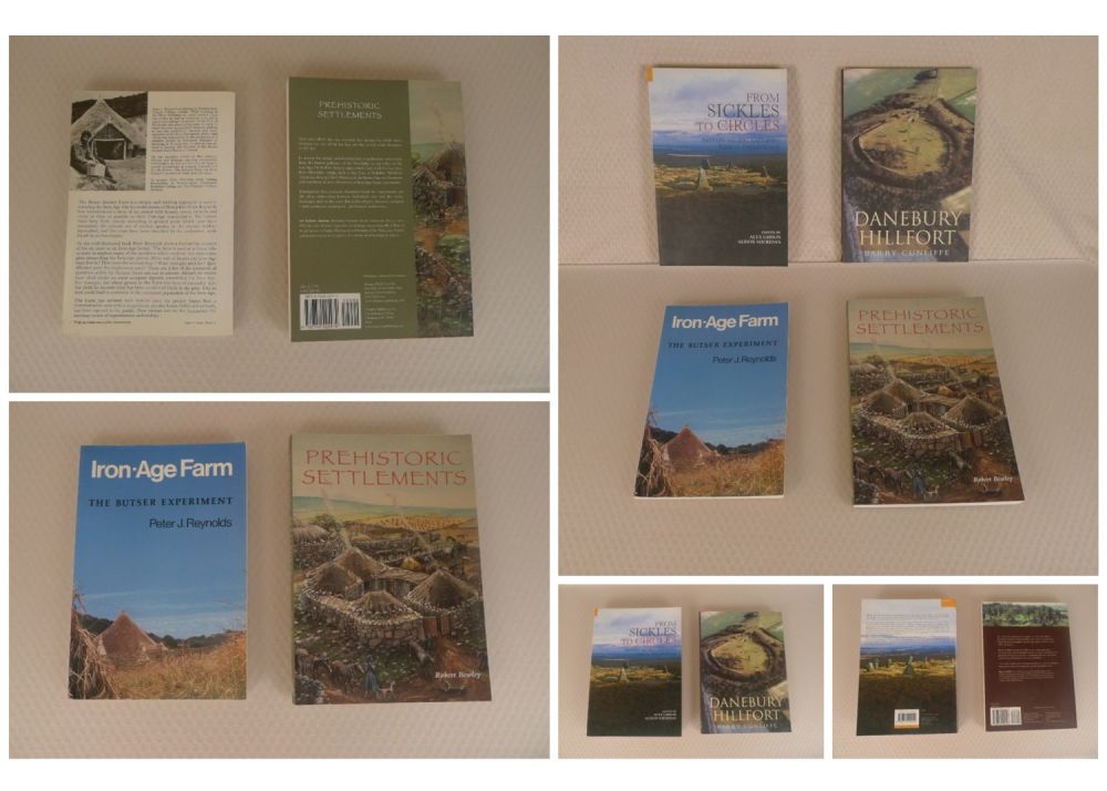 Lot 724: 4 x Prehistoric, Iron Age history books (all...