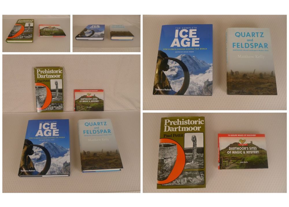 Lot 725: 4 x Dartmoor, Ice Age history books (all...