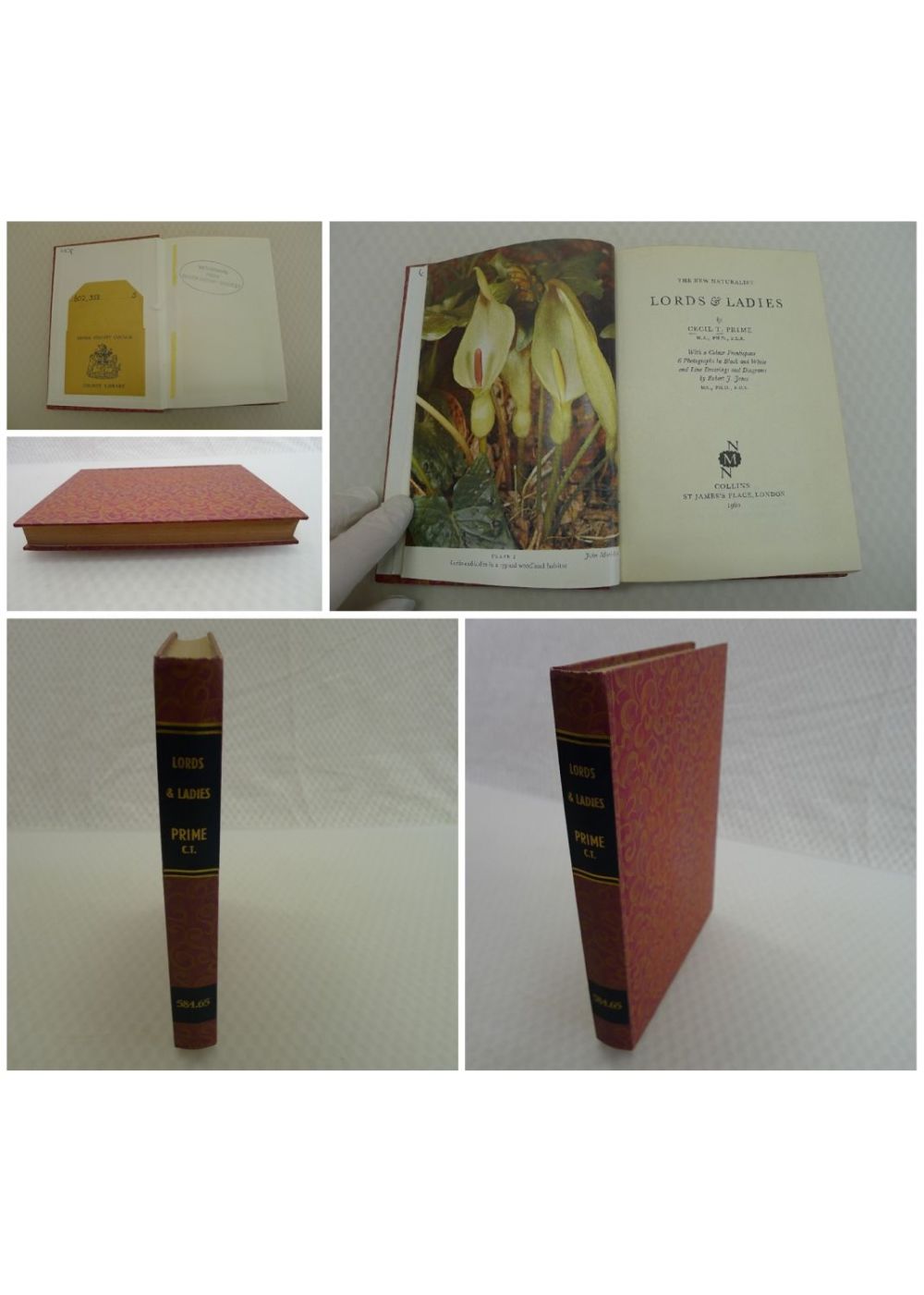 Lot 735: Lords and Ladies by Cecil T Prime published...