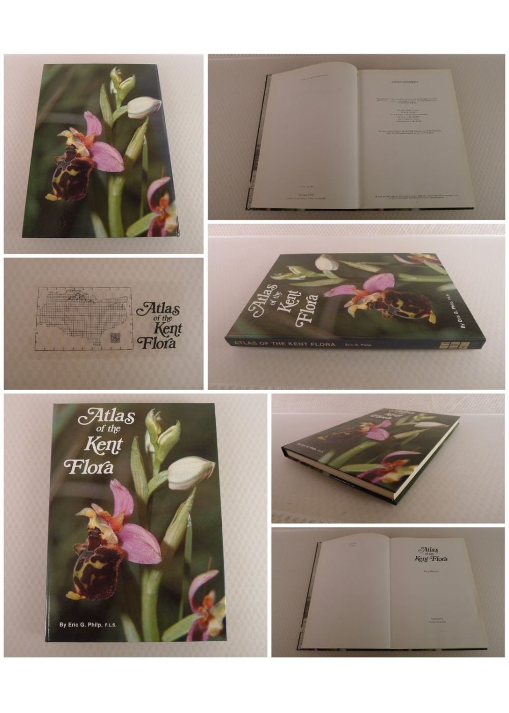 Lot 738: Atlas of The Kent Flora by Eric G...