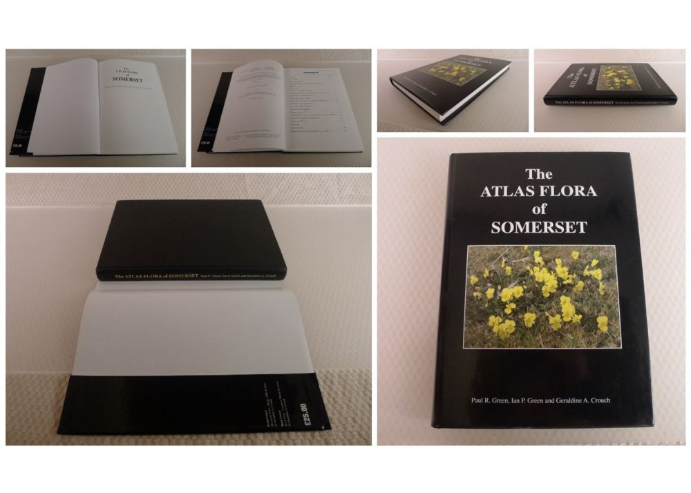 Lot 743: The Atlas Flora of Somerset by Paul R...