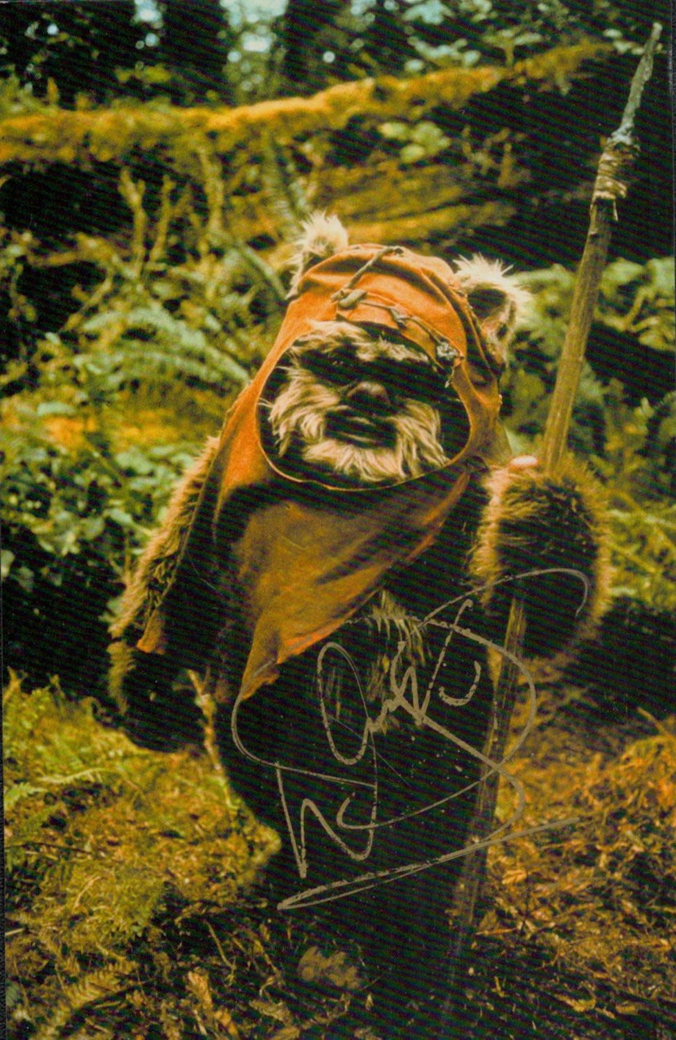 Lot 451: Signed Post Card Wicket The Ewok size 6x4...