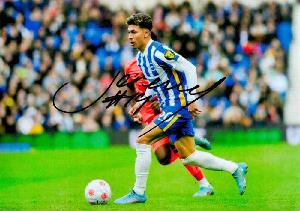 Lot 320: Football Jeremy Sarmiento signed Brighton 12x8 colour photo. Good Condition. All autographs are