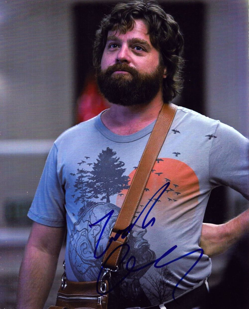 Lot 332: Zac Galifanakis signed 10x8 inch colour photo. Good...