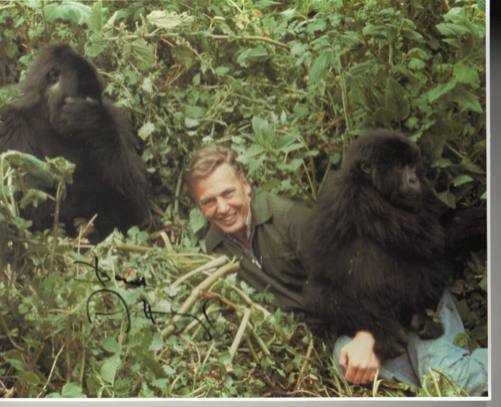 Lot 377: Sir David Attenborough signed10X8 picture of the national...