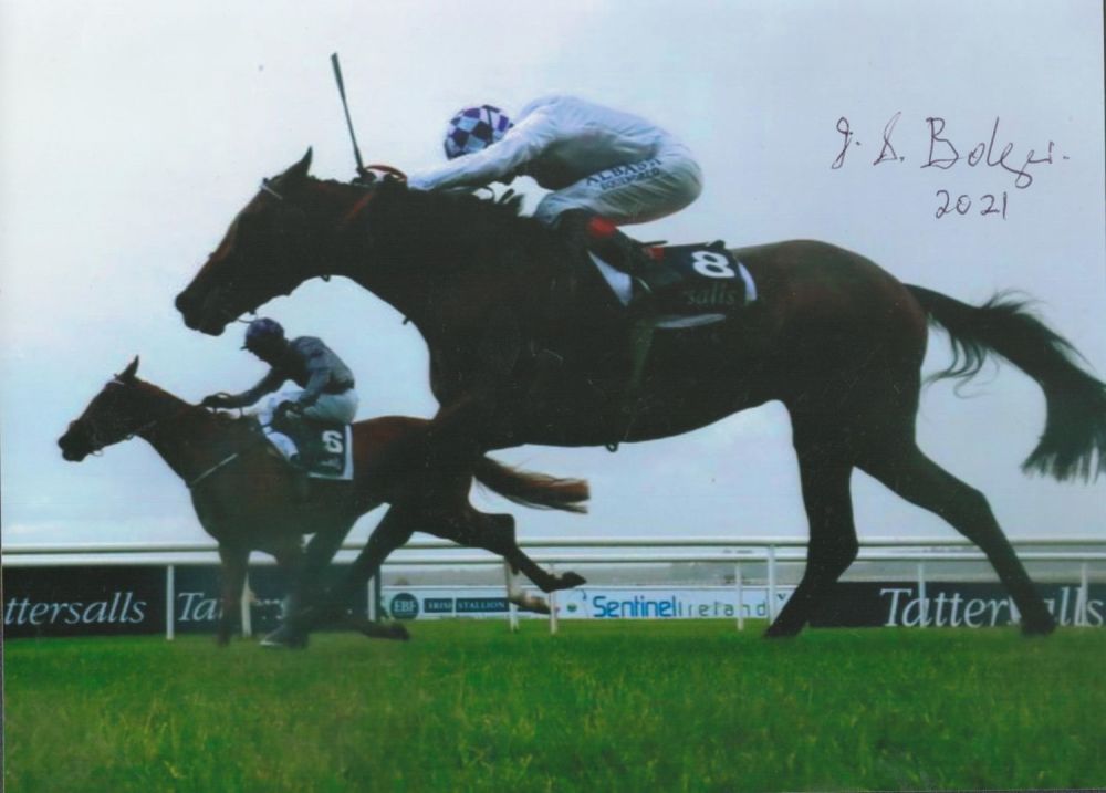 Lot 471: Jim Bolger Signed 6 x 8 colour horse...