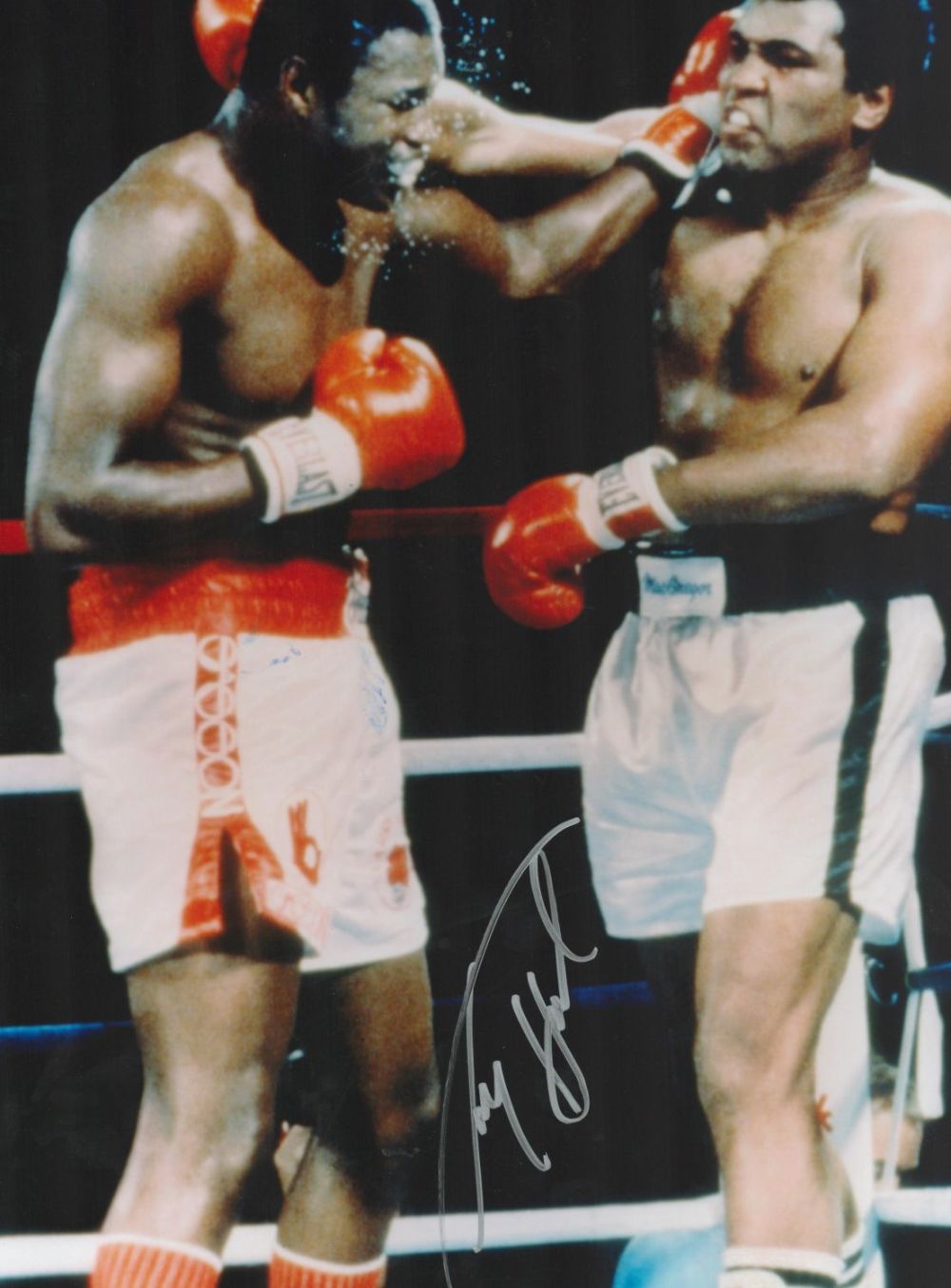 Lot 548: Boxing Larry Holmes signed 16x12 signed colour photo...