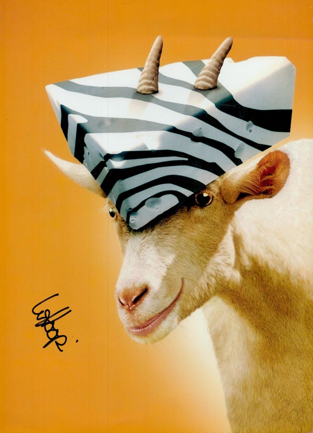 Lot 105: Whoopi Goldberg signed 12x8 inch Goat colour photo....