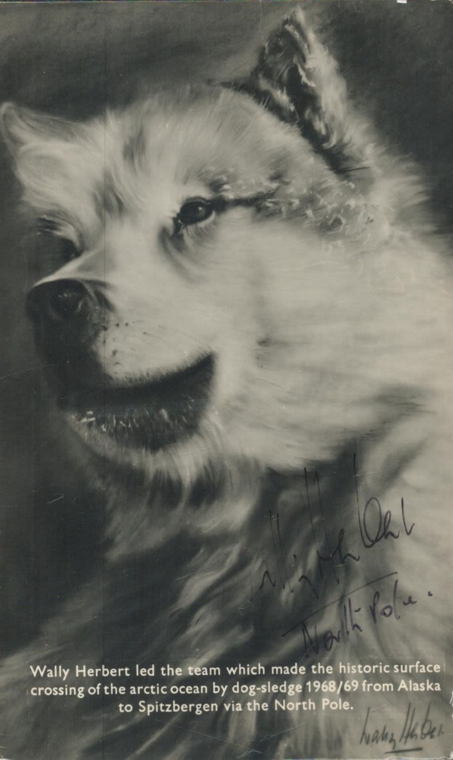 Lot 273: WALLY HERBERT British Polar Explorer Signed 3.5x5.5 black...