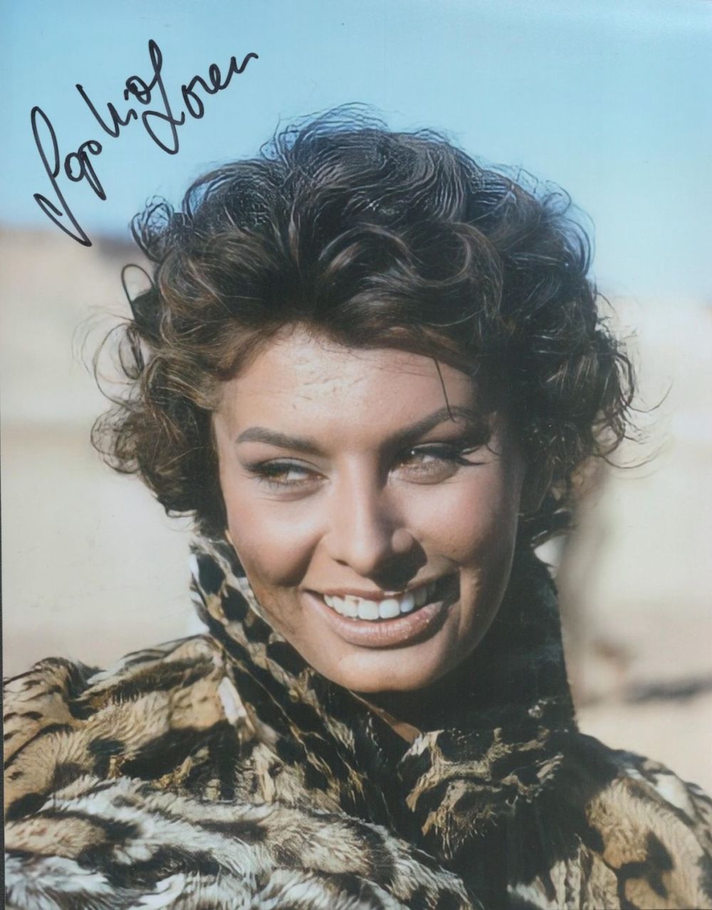 Lot 451: Sophia Loren signed colour photo an Italian Actress....