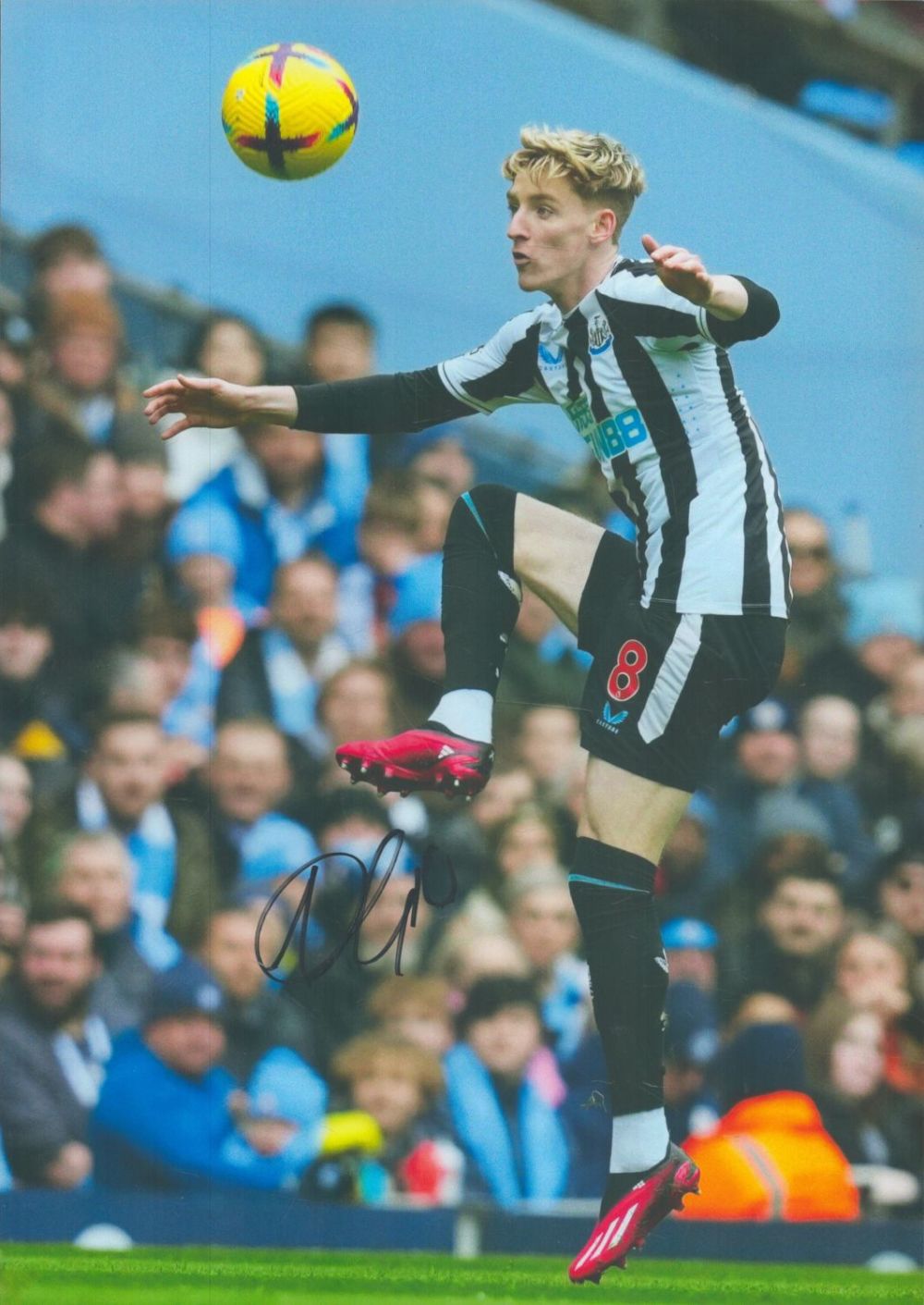 Lot 316: Football Anthony Gordon signed Newcastle United 12x8 inch...