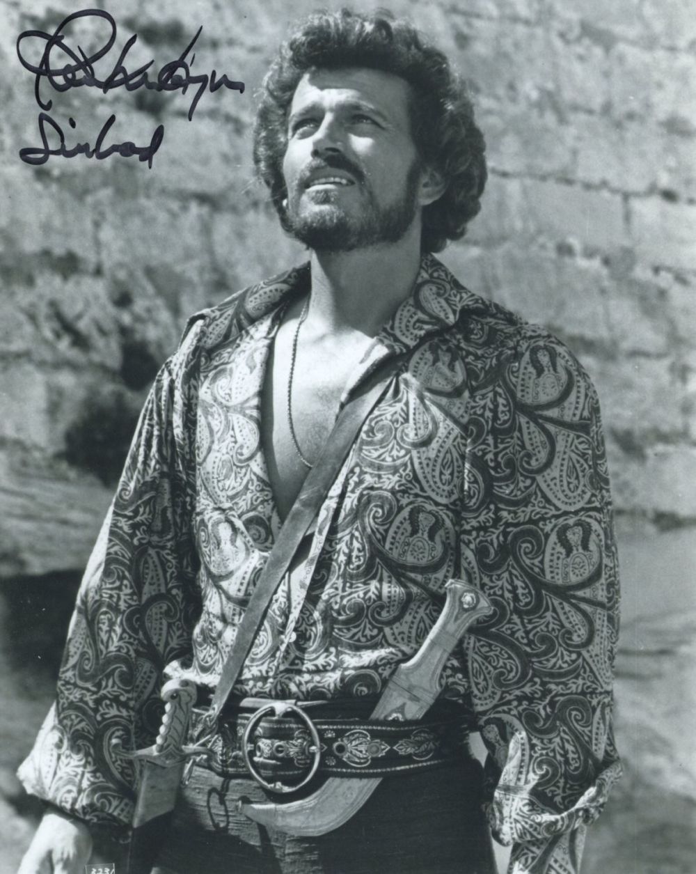 Lot 648: Sinbad and the Eye of the Tiger 8x10...