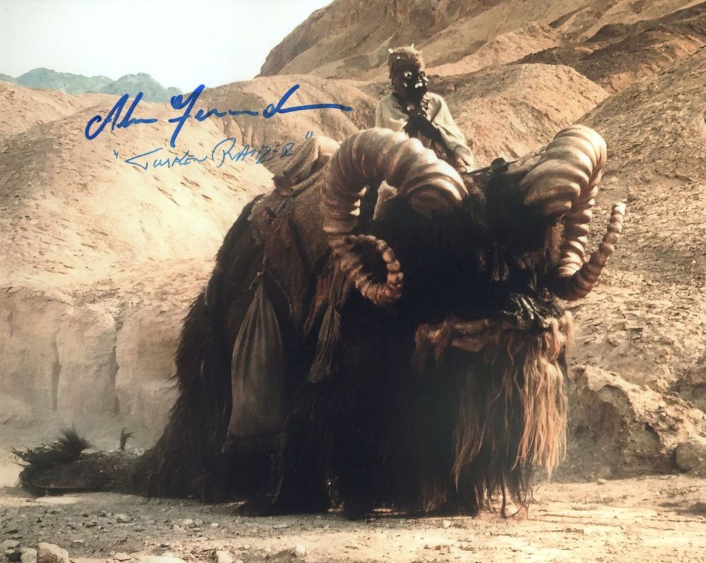 Lot 655: Star Wars Episode IV A New Hope 8x10...