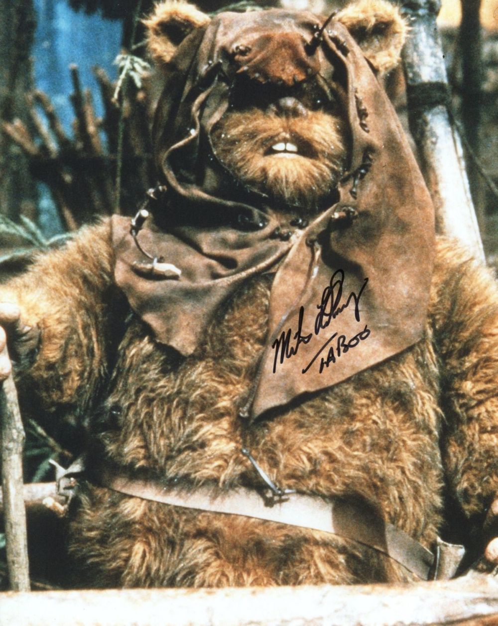 Lot 661: Star Wars Return of the Jedi 8x10 scene...