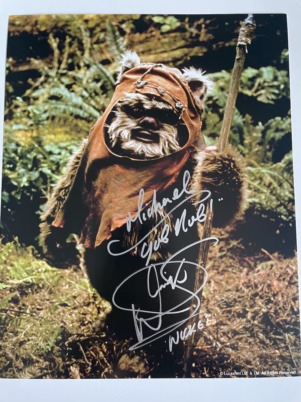 Lot 103: Warwick Davies Star Wars Film Actor, Wicket 10x8...