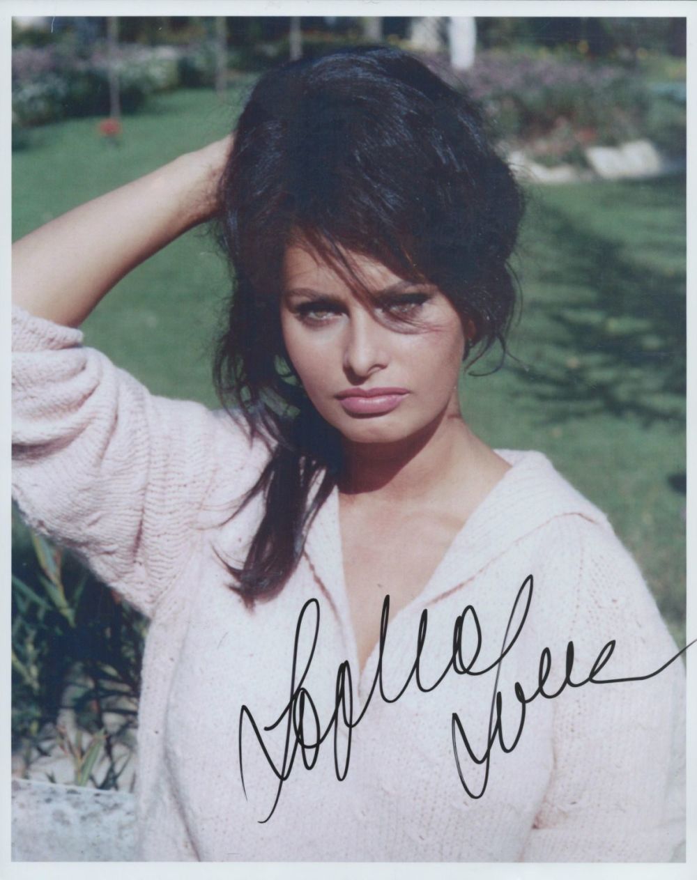 Lot 271: Sophia Loren signed colour photo an Italian actress....