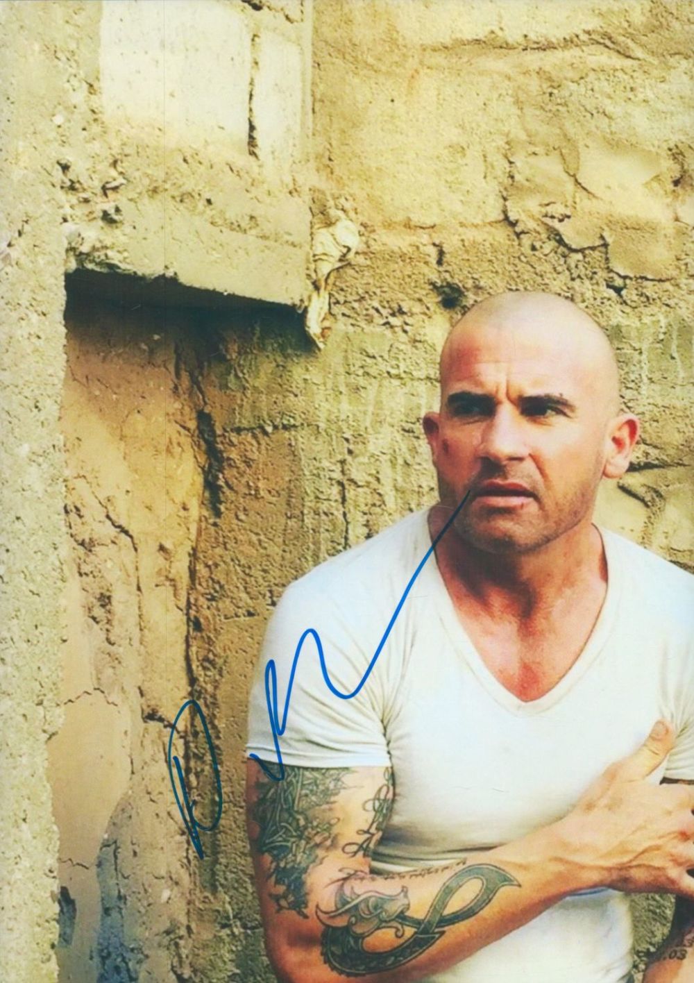 Lot 174: Dominic Purcell signed 12x8 inch colour photo. Good...