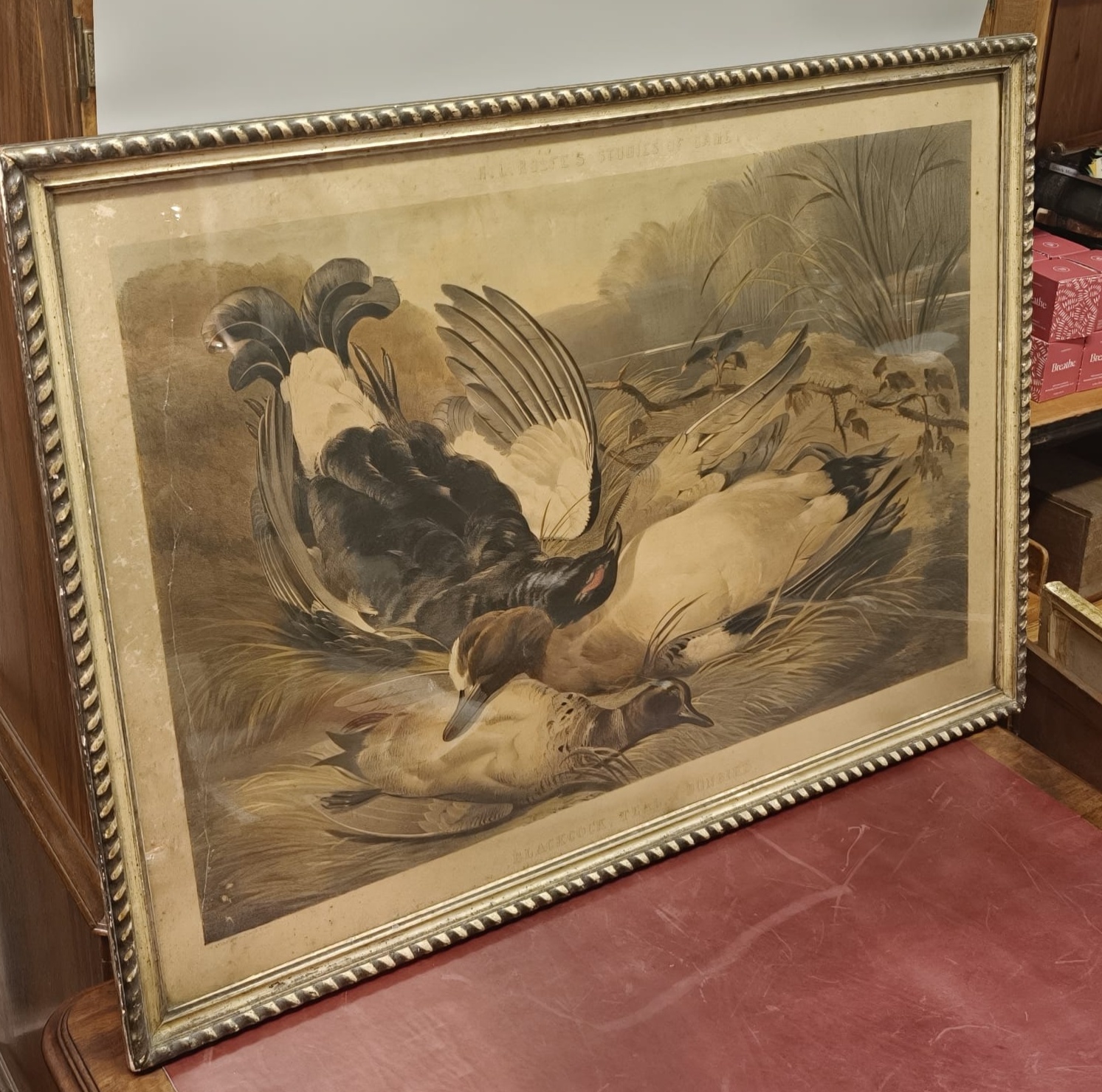 H. L. Rolfe, Studies of Game: Blackcock, Teal, & Dunbird Chromolithograph